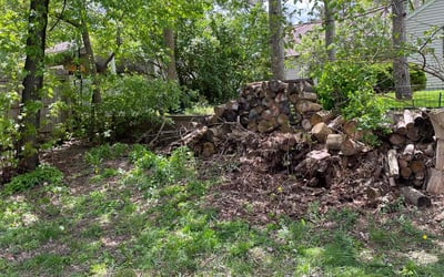 Photo of Barbara L.'s yard after getting landscaping in Bethel, MN