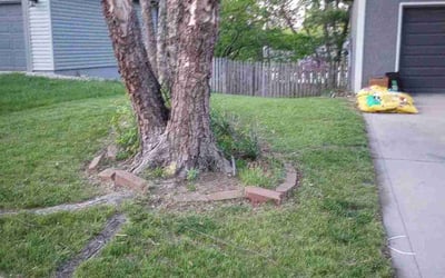 Photo of Courtney H.'s yard after getting landscaping in Bucyrus, KS