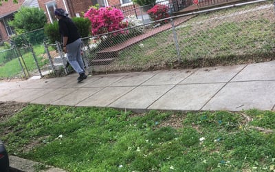 Photo of Yolanda M.'s yard after getting landscaping in Welcome, MD