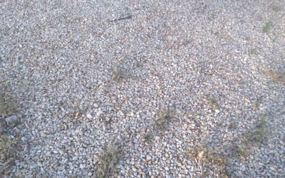 Photo of Steven B.'s yard after getting landscaping in Superior, AZ