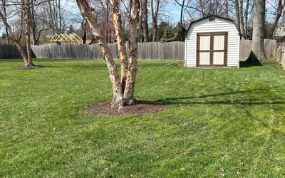 Photo of Dwight B.'s yard after getting landscaping in Dupont, CO