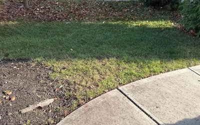 Photo of Amy M.'s yard after getting landscaping in Greenwood, IN