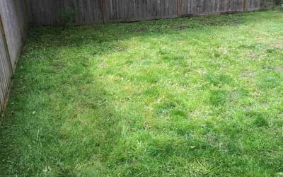 Photo of Katrina M.'s yard after getting landscaping in Puyallup, WA