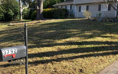 Photo of Chad S.'s yard after getting landscaping in Statham, GA