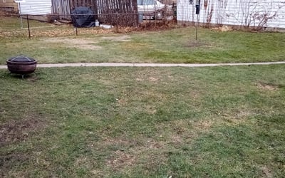 Photo of Kathleen V.'s yard after getting landscaping in Spring Valley, WI