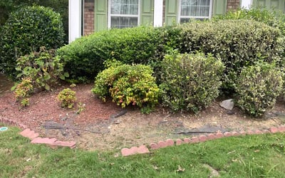 Photo of Hanyi M.'s yard after getting tree care in Suwanee, GA