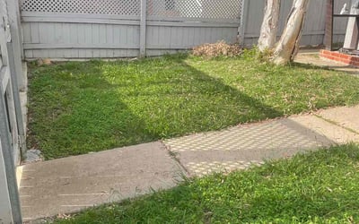 Photo of Elliot H.'s yard after getting landscaping in Alpine, CA
