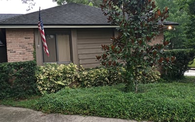 Photo of David H.'s yard after getting landscaping in Astatula, FL