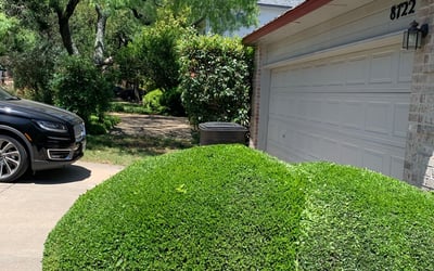 Photo of David H.'s yard after getting landscaping in Peggy, TX