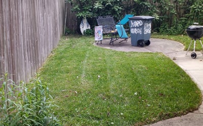 Photo of Ron L.'s yard after getting landscaping in Ripley, OH