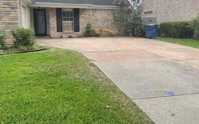 Photo of Adrian A.'s yard after getting tree care in Willis, TX
