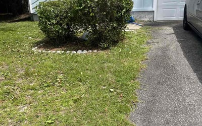 Photo of Hope S.'s yard after getting tree care in Asheville, NC