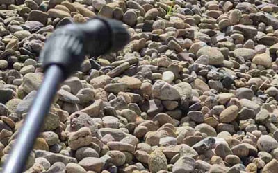 Photo of Anne S.'s yard after getting tree care in Sedalia, CO