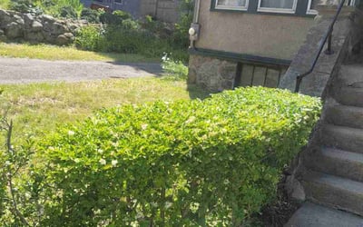 Photo of Michael G.'s yard after getting landscaping in Acton, MA