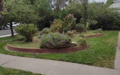 Photo of Elizabeth R.'s yard after getting tree care in Las Vegas, NV