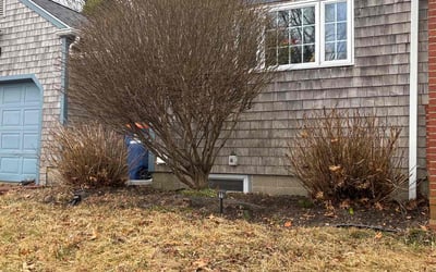 Photo of David R.'s yard after getting landscaping in New Bedford, MA