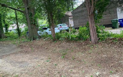 Photo of Stephen K.'s yard after getting landscaping in Norge, VA