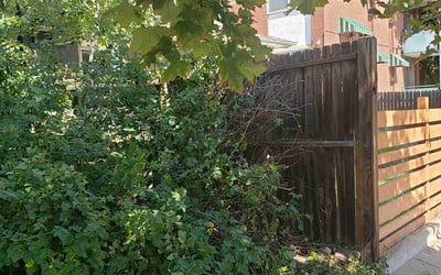 Photo of Sharon B.'s yard after getting landscaping in Buffalo Creek, CO