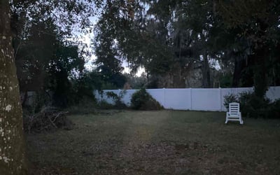 Photo of Stephanie H.'s yard after getting landscaping in Deland, FL