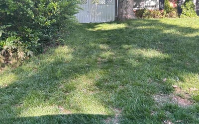 Photo of Matthew A.'s yard after getting landscaping in Schley, VA