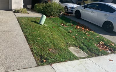 Photo of Aaron S.'s yard after getting landscaping in Diamond Springs, CA
