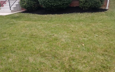 Photo of Tamika J.'s yard after getting landscaping in Oberlin, OH
