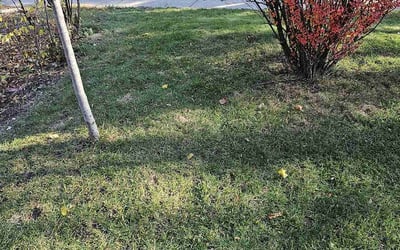 Photo of Karl R.'s yard after getting landscaping in Port Washington, WI