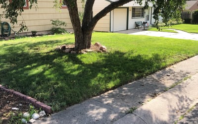 Photo of Melissa C.'s yard after getting landscaping in Elbert, CO