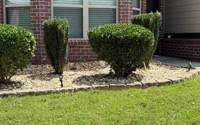 Photo of Mark S.'s yard after getting tree care in Snellville, GA