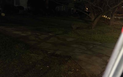 Photo of Blaire M.'s yard after getting landscaping in Lawson, MO