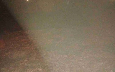 Photo of Michael G.'s yard after getting landscaping in Cherry Hill, NJ