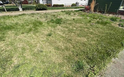 Photo of Charles S.'s yard after getting landscaping in Powells Point, NC