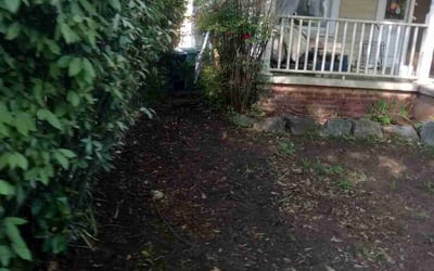 Photo of Karen L.'s yard after getting tree care in Canton, GA