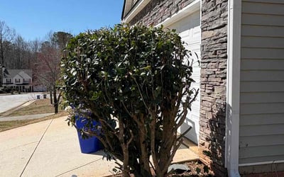 Photo of Stephanie S.'s yard after getting landscaping in Monroe, GA