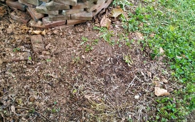 Photo of Shane S.'s yard after getting landscaping in Whiteland, IN
