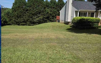 Photo of Deana G.'s yard after getting tree care in Winder, GA