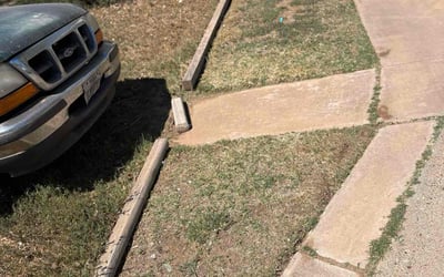 Photo of Maria C.'s yard after getting landscaping in Lubbock, TX