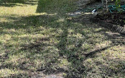 Photo of Andrew P.'s yard after getting landscaping in Sharpes, FL
