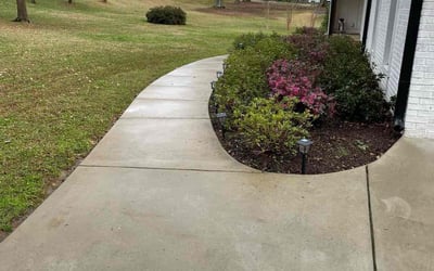 Photo of Tonya M.'s yard after getting tree care in Riverdale, GA