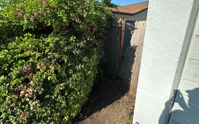 Photo of Erica F.'s yard after getting tree care in Pinellas Park, FL