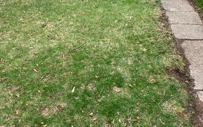 Photo of Justin B.'s yard after getting landscaping in Germantown, WI