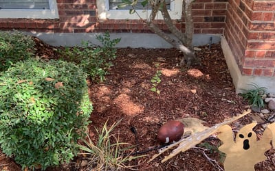 Photo of Joe P.'s yard after getting landscaping in Poth, TX