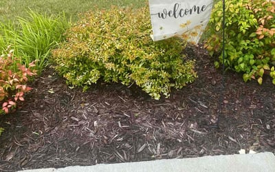 Photo of Charmian W.'s yard after getting tree care in Norfolk, VA