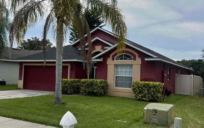 Photo of Colleen L.'s yard after getting landscaping in Killarney, FL