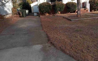 Photo of William T.'s yard after getting landscaping in Ark, VA