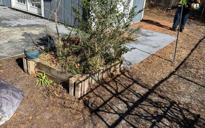 Photo of Suzy P.'s yard after getting landscaping in Conway, SC