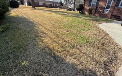 Photo of Meg C.'s yard after getting landscaping in Hobbsville, NC