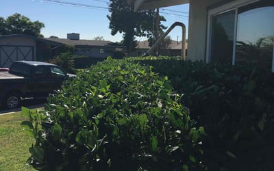 Photo of Ian T.'s yard after getting landscaping in Julian, CA