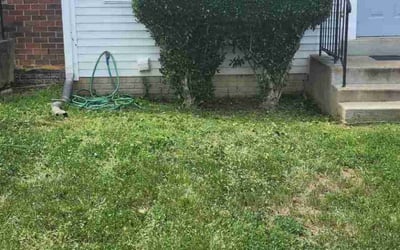 Photo of Michele G.'s yard after getting landscaping in Kearneysville, WV