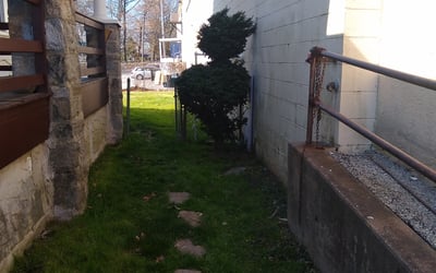 Photo of Henrietta O.'s yard after getting tree care in Philadelphia, PA